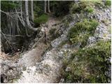 Dom Planica - Mojčin dom na Vitrancu